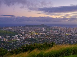 tree service in Honolulu